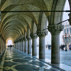Venice Forever!