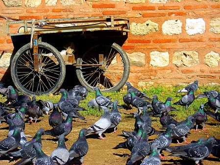 Снимка без име