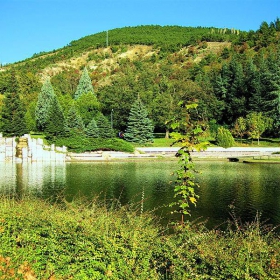 в парка