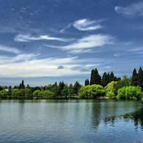 Greenlake -  Seattle