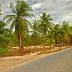 Christmas Island,Kiribati-French Polynesia 2008