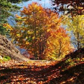 Пламъци