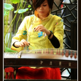 Guzheng