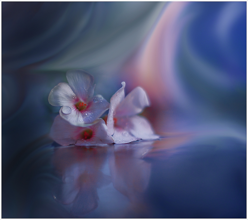 :::Blue Night:::II