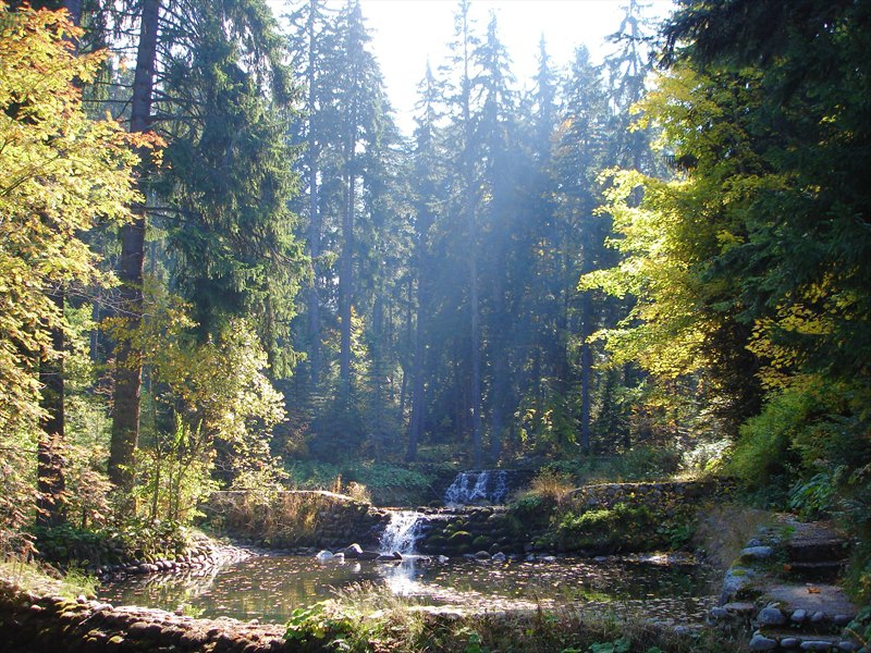 Царска Бистрица
