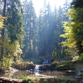 Царска Бистрица