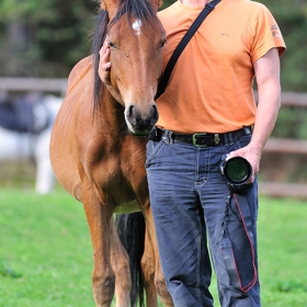 The Horse Whisperer