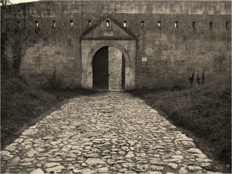 Път към историята