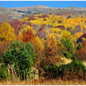 Есенни халища