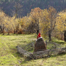 Снимка без име