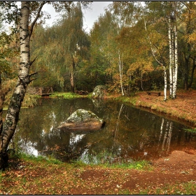Снимка без име