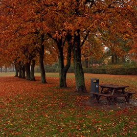 Greve, Denmark.