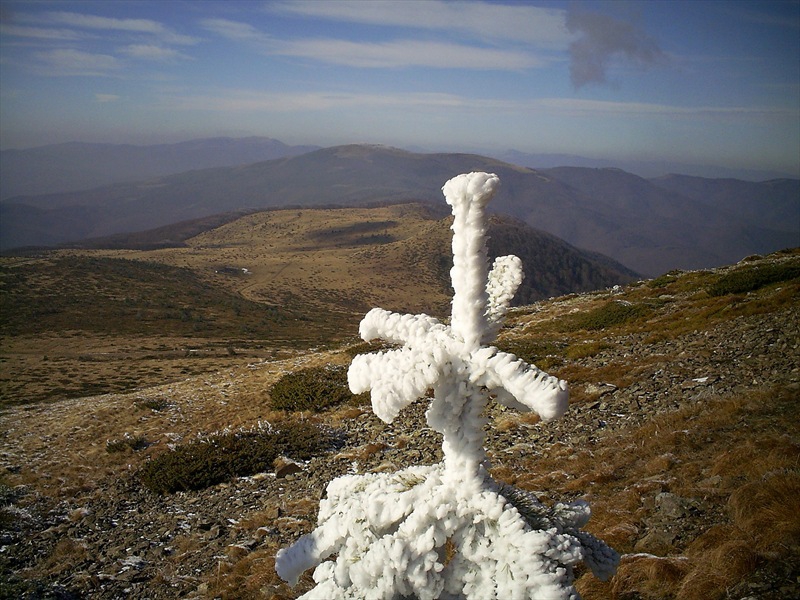 В Балкана...
