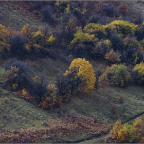 Есенно ....