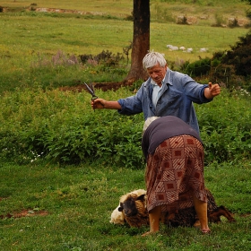 Давай жена следващата....