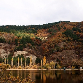 Панчарево