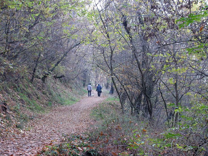 хора в гора