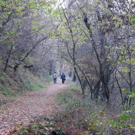 хора в гора