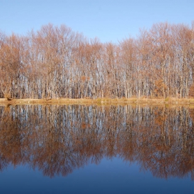 Boyana Lake