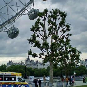 London Eye 2