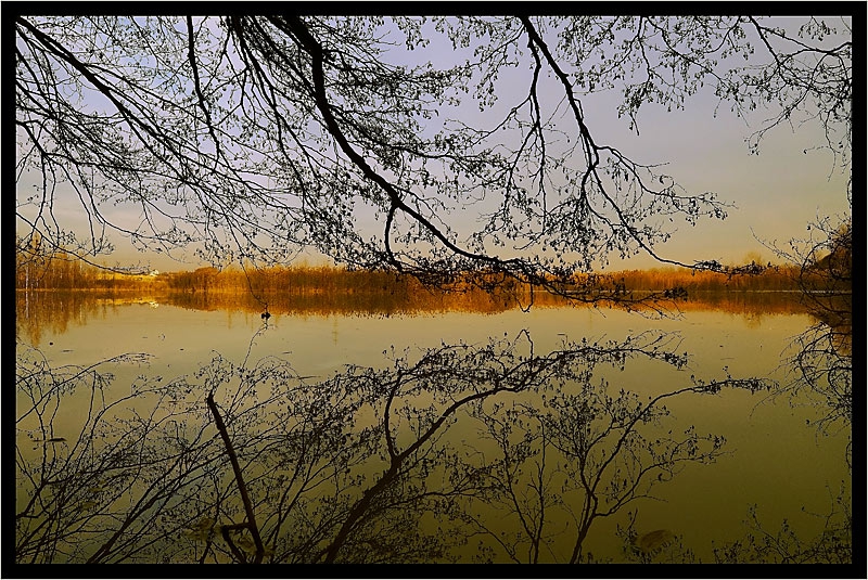 Lake