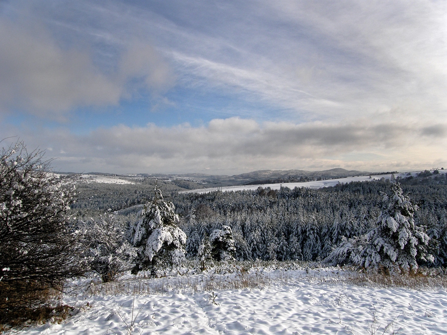 Зимна панорама