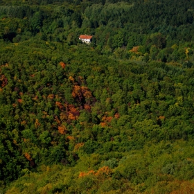 Къщичка в гората