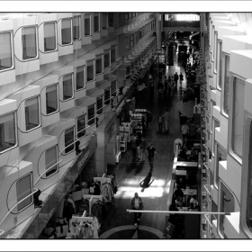 the cruise b&w