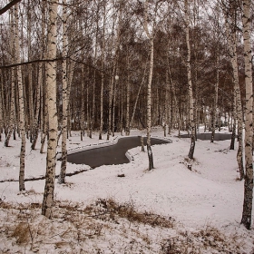 Снежна премяна