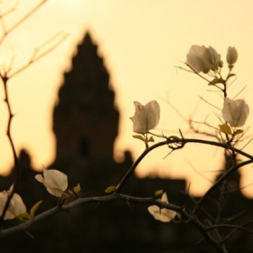 Cambodia