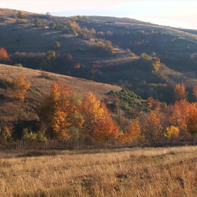 есен-но