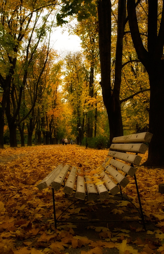 In a cold november afternoon