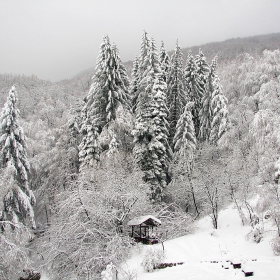 Zimna prikazka ot vchera 20.12.2009