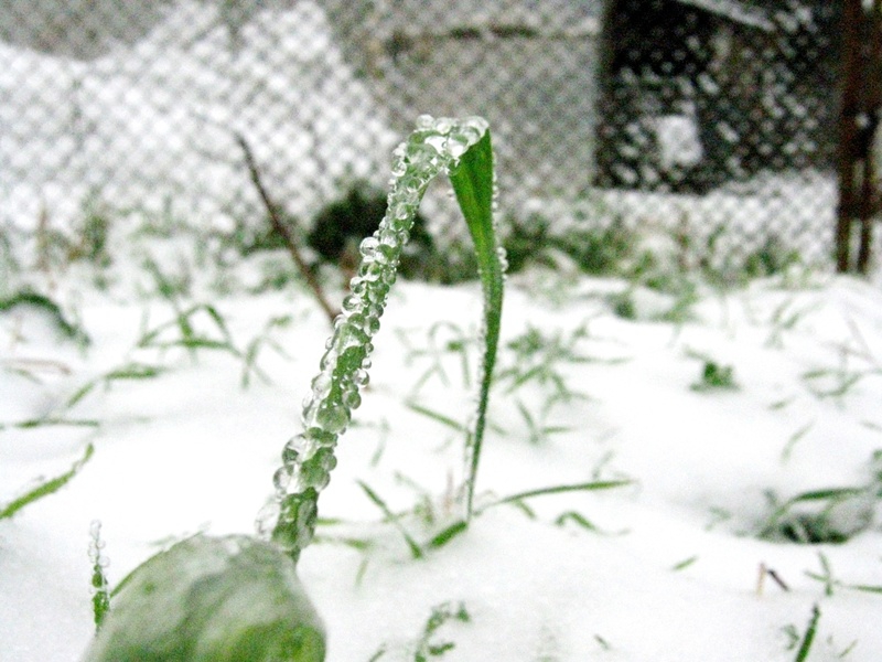 Snowy...