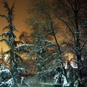 Само погледни през прозореца