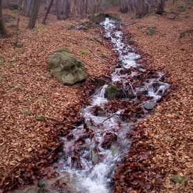 Вододайна зона