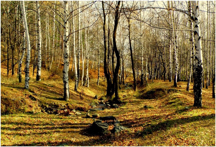 Спомен от есента