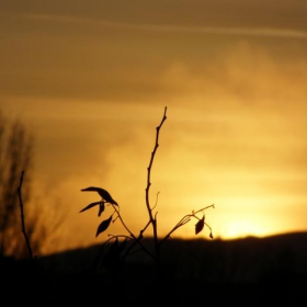 Sunset in Sofia