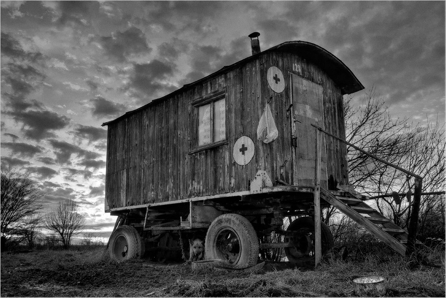 BW...life?
