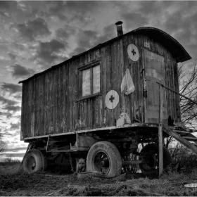 BW...life?