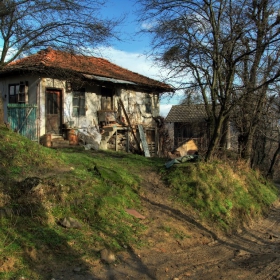 the messy house