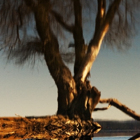 shifting
