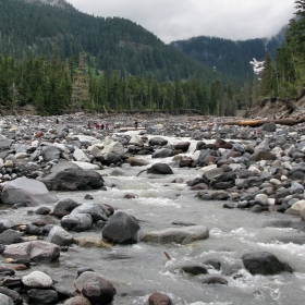 Ever-changing Glacial River (Nisqually River- Rainier Mt.)