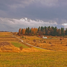 Планинско цветно