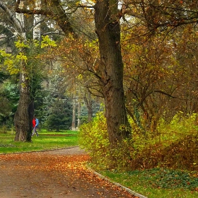 на разходка в парка