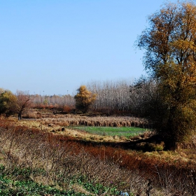 В края на есента