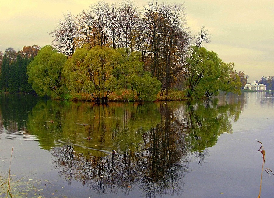 Царское село - 6
