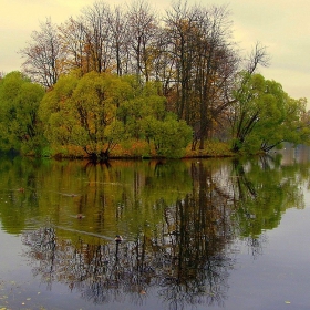 Царское село - 6