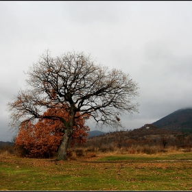 Старосел