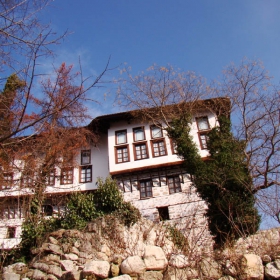 melnik 2009